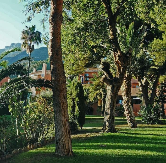 Apartamento Peaceful Sea&mountain View House *
